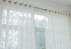玉白 正面